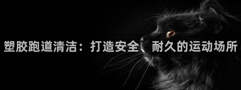 尊龙凯时-人生就是博中国官网：塑胶跑道清洁：打造安全