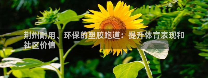 尊龙 国外：荆州耐用、环保的塑胶跑道：提升体育表现和