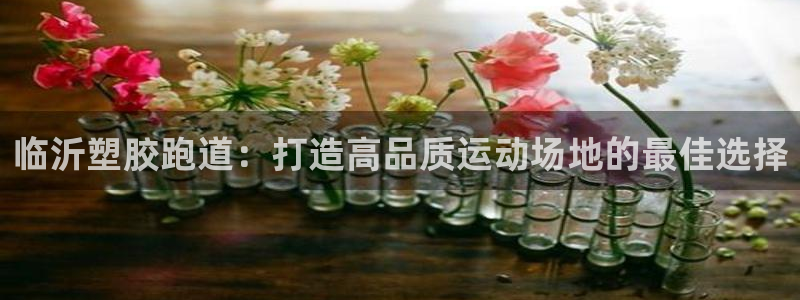 尊龙凯时平台入口：临沂塑胶跑道：打造高品质运动场地的最佳选择