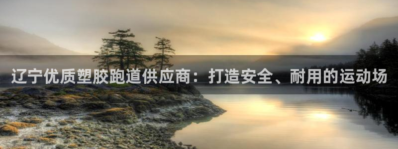 尊龙d88官网确来就送38：辽宁优质塑胶跑道供应商：打造安全、耐用的运动场