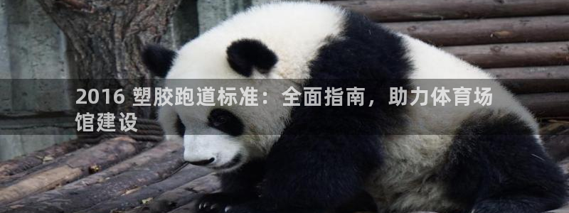 凯时国际官方版：2016 塑胶跑道标准：全面指南，助力体育场
馆建设