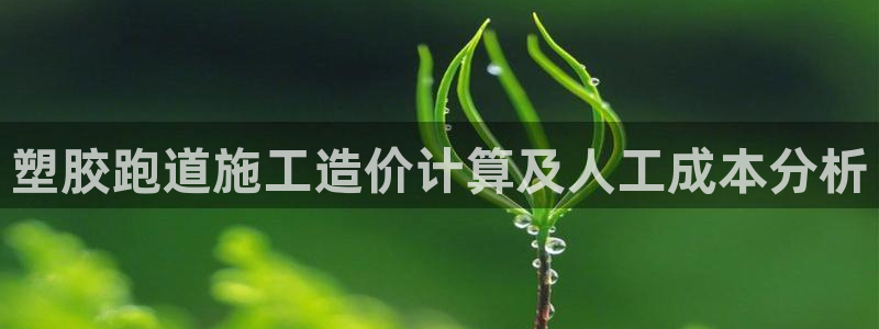 凯时官网手机版首页：塑胶跑道施工造价计算及人工成本分