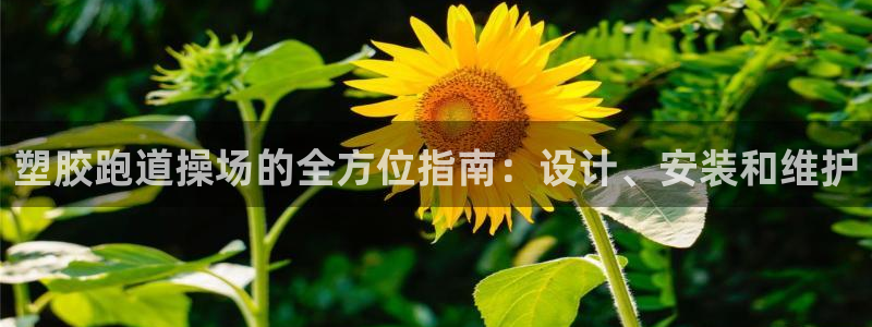 尊龙凯时app官方网站：塑胶跑道操场的全方位指南：设计、安装和维护