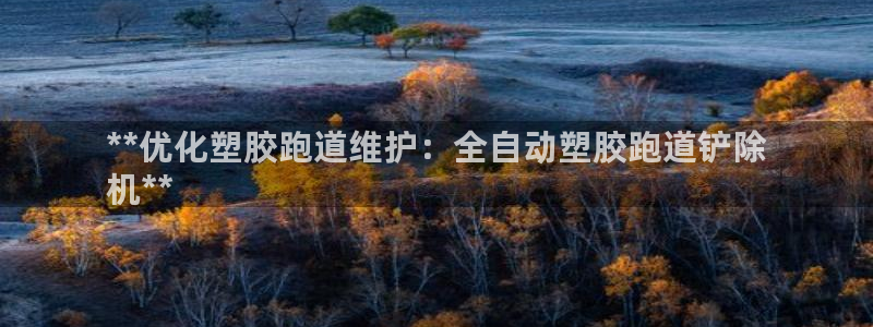 尊龙最近一次露面：**优化塑胶跑道维护：全自动塑胶跑道铲除
机**