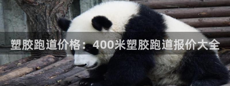 尊龙人生就是博登录首页：塑胶跑道价格：400米塑胶跑道报价大全