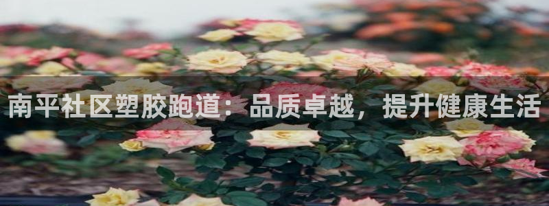 凯时尊龙平台登录：南平社区塑胶跑道：品质卓越，提升健
