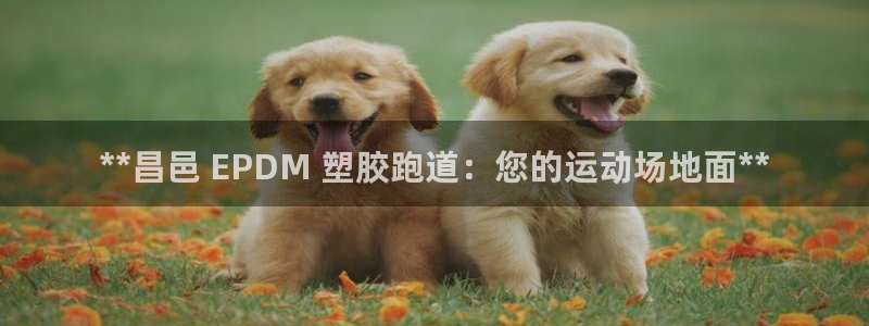 尊龙app|首选agdaohang：**昌邑 EPD