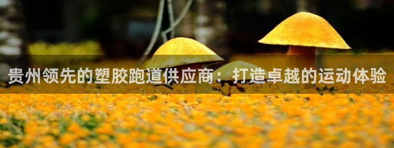 d88尊龙官方网：贵州领先的塑胶跑道供应商：打造卓越