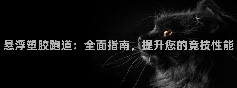 尊龙凯时平台官网：悬浮塑胶跑道：全面指南，提升您的竞技性能