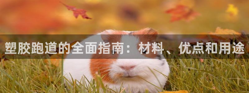 尊龙2020：塑胶跑道的全面指南：材料、优点和用途