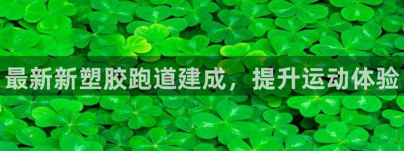 AG尊龙注册在线游戏：最新新塑胶跑道建成，提升运动体验