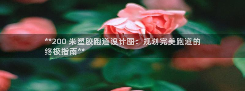 尊龙凯时投诉最狠的方法：**200 米塑胶跑道设计图