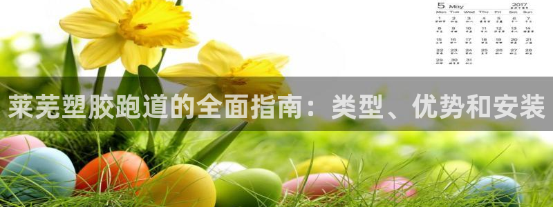 尊龙t400和尊龙t300区别：莱芜塑胶跑道的全面指南：类型、优势和安装