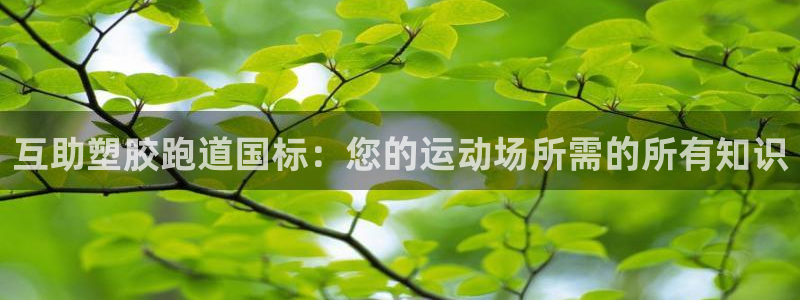 尊龙登录会员登录：互助塑胶跑道国标：您的运动场所需的