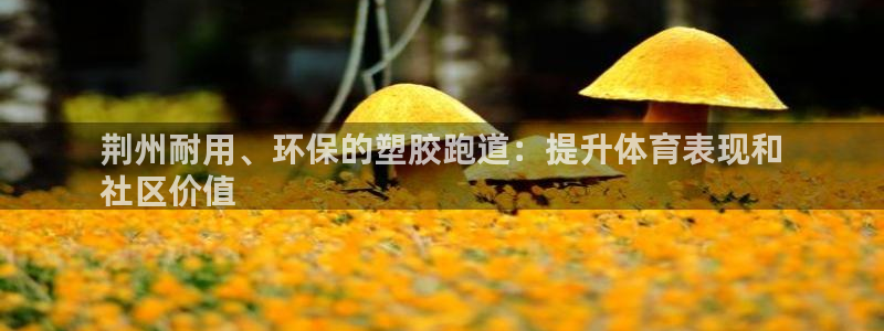 尊龙凯时平台信誉怎样：荆州耐用、环保的塑胶跑道：提升体育表现和
社区价值