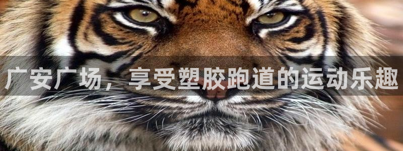 尊龙人生就是博官：广安广场，享受塑胶跑道的运动乐趣