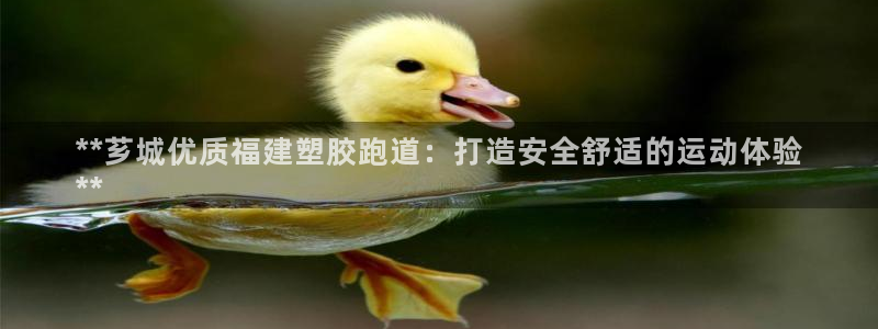 尊龙app官网登录：**芗城优质福建塑胶跑道：打造安