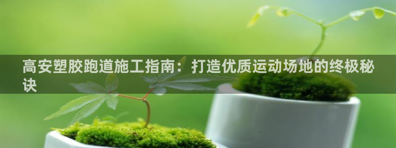 AG尊龙凯时注册：高安塑胶跑道施工指南：打造优质运动