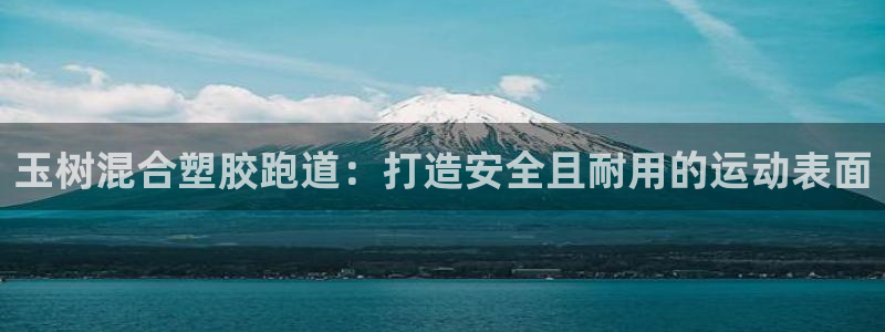 尊龙实业有限公司是正规还是仿：玉树混合塑胶跑道：打造安全且耐用的运动表面