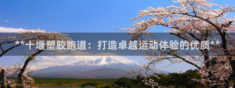 尊龙凯时只输不赢：**十堰塑胶跑道：打造卓越运动体验的优质**