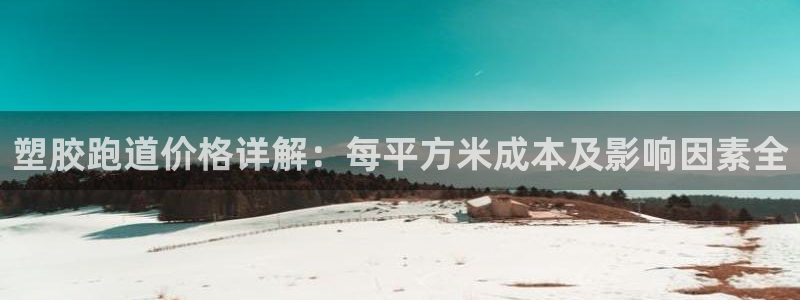 尊龙人生就是博用现金玩一下：塑胶跑道价格详解：每平方