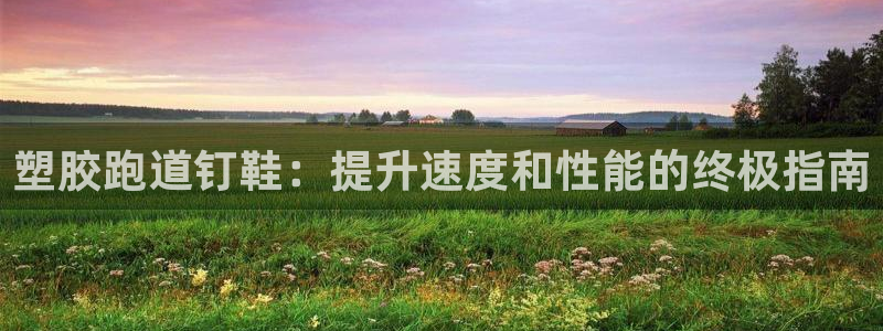 尊龙d88平台版下载：塑胶跑道钉鞋：提升速度和性能的终极指南