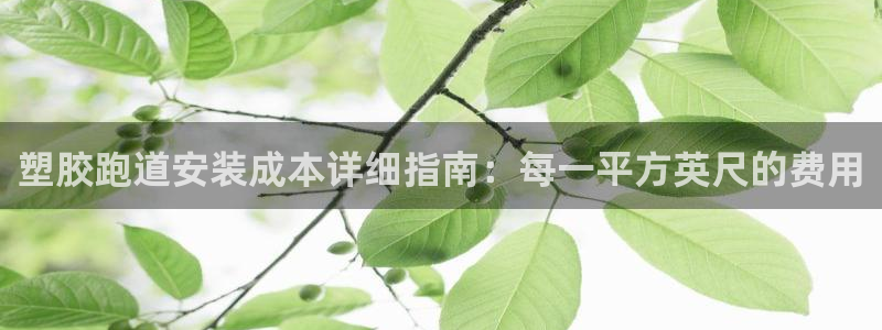 尊龙体育正规么：塑胶跑道安装成本详细指南：每一平方英