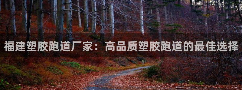 尊龙人生就是博登录首页：福建塑胶跑道厂家：高品质塑胶跑道的最佳选择