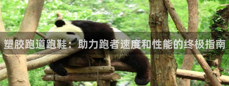 尊龙凯时账号异常审核提不了款怎么办：塑胶跑道跑鞋：助