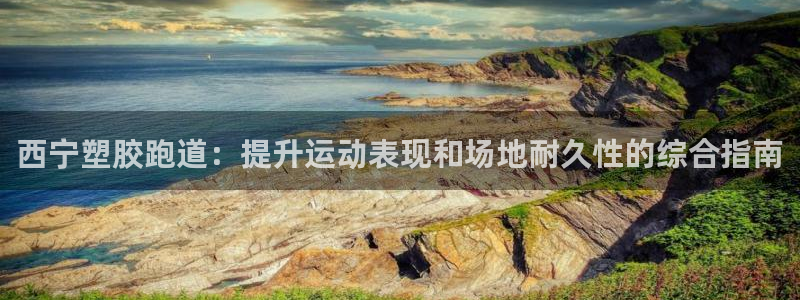 尊龙新版App下载：西宁塑胶跑道：提升运动表现和场地耐久性的综合指南