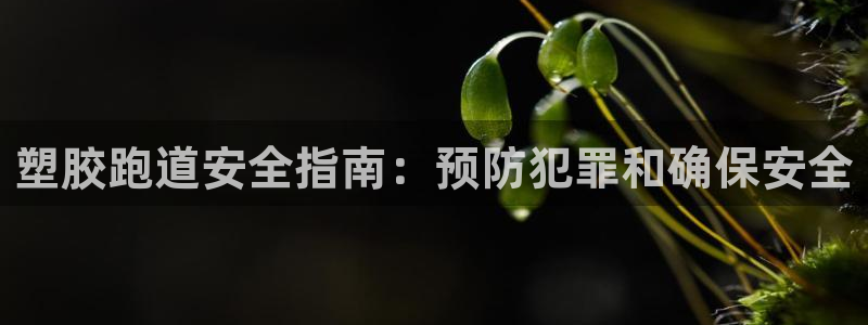 尊龙d88皆选ag发财网：塑胶跑道安全指南：预防犯罪和确保安全