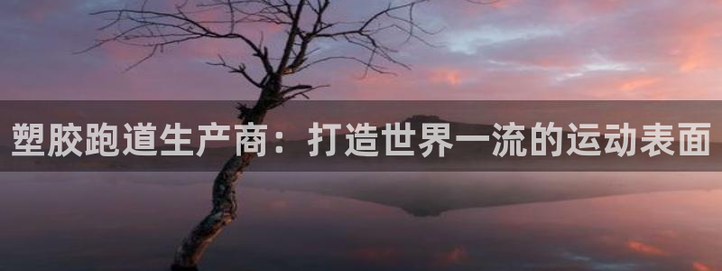 尊龙凯时 - 人生就是搏!：塑胶跑道生产商：打造世界一流的运动表面