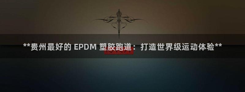 尊龙d88平台：**贵州最好的 EPDM 塑胶跑道：打造世界级运动体验**