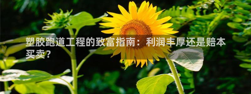 凯时最新官方APP下载：塑胶跑道工程的致富指南：利润丰厚还是赔本
买卖？