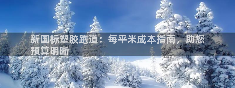 凯时平台官网RA来就送38：新国标塑胶跑道：每平米成