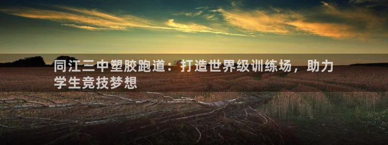 尊龙凯时可以提现吗：同江三中塑胶跑道：打造世界级训练场，助力
学生竞技梦想