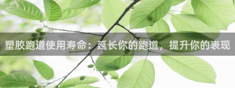 d88尊龙z6：塑胶跑道使用寿命：延长你的跑道，提升你的表现