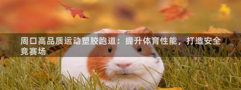 尊龙凯时论坛：周口高品质运动塑胶跑道：提升体育性能，打造安全
竞赛场