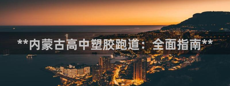 尊龙凯时为什么不封：**内蒙古高中塑胶跑道：全面指南**