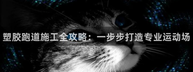 尊龙凯时怎么注册：塑胶跑道施工全攻略：一步步打造专业运动场