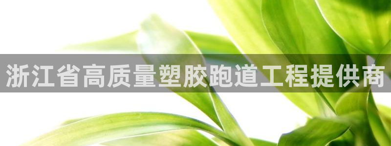 尊龙百度贴吧：浙江省高质量塑胶跑道工程提供商