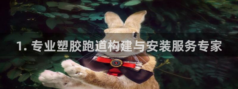 尊龙凯时集团：1. 专业塑胶跑道构建与安装服务专家