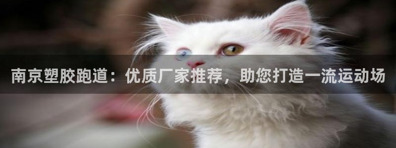 尊龙凯时平台还是万博好：南京塑胶跑道：优质厂家推荐，助您打造一流运动场