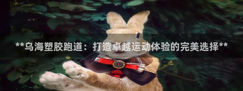 尊龙凯时百家乐手机下载：**乌海塑胶跑道：打造卓越运动体验的完美选择**