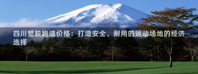 凯时效果怎么样：四川塑胶跑道价格：打造安全、耐用的运动场地的经济
选择