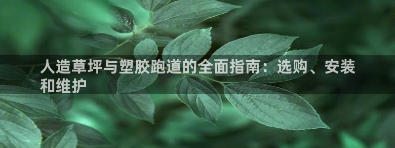 尊龙d88ag官方网站：人造草坪与塑胶跑道的全面指南