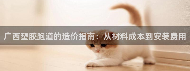 尊龙登录会员登录：广西塑胶跑道的造价指南：从材料成本