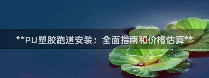 尊龙凯时 人生就是搏!平台：**PU塑胶跑道安装：全面指南和价格估算**