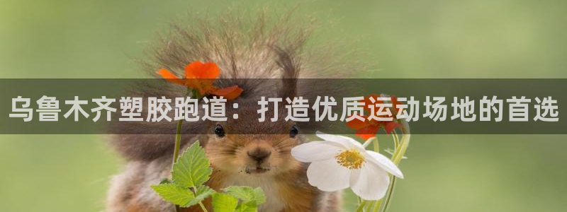 尊龙凯时有假么：乌鲁木齐塑胶跑道：打造优质运动场地的首选