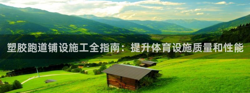 尊龙 am i blue：塑胶跑道铺设施工全指南：提升体育设施质量和性能